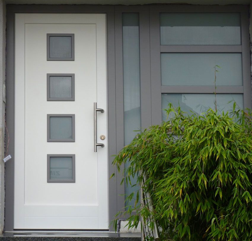 Vstupn&iacute; dveře